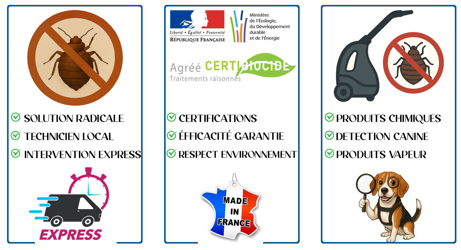 Punaises de Lit Ville d Avray