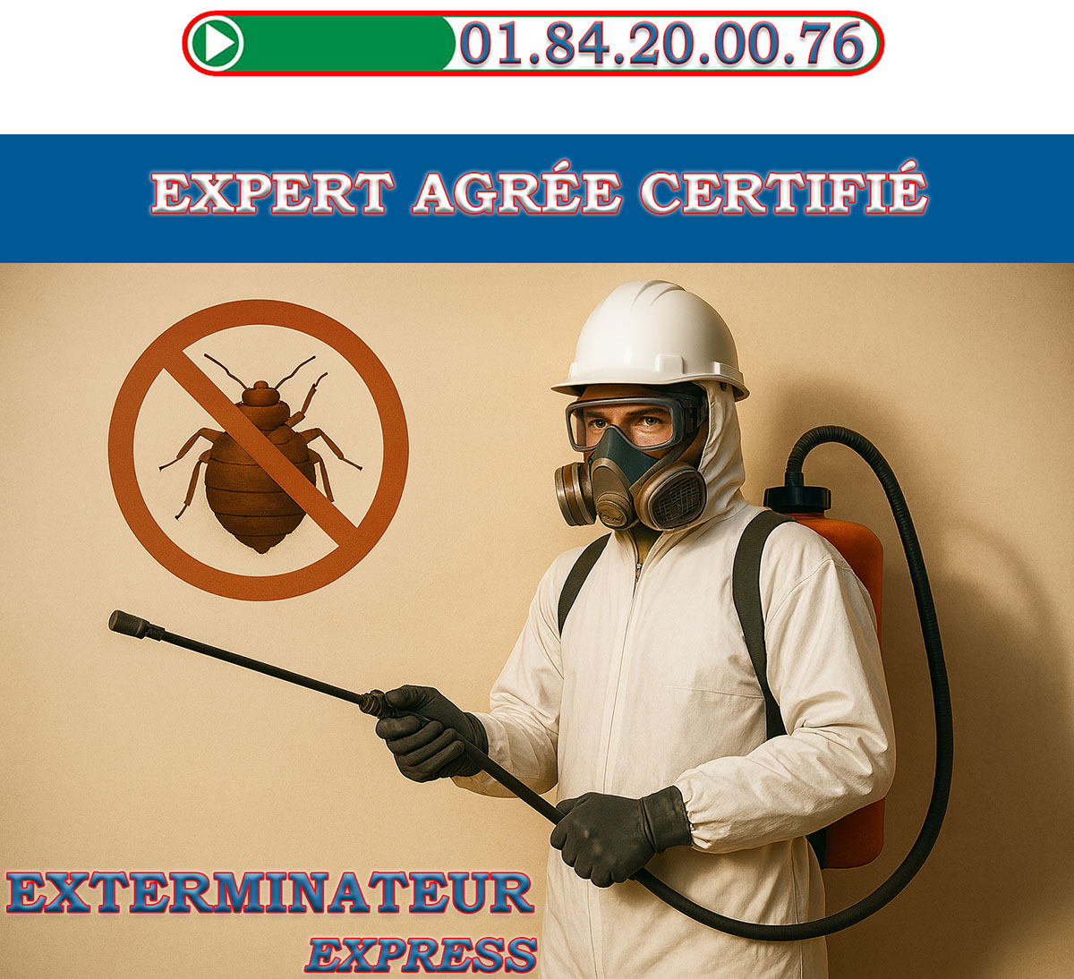 Punaises de Lit Ville d Avray